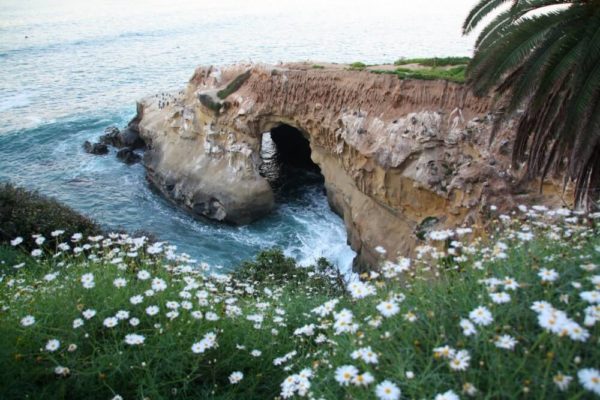 La Jolla Caves