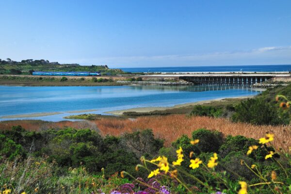 SANDAG BShoaff BatLagoon-Bridge RAIL-144.jpg sm