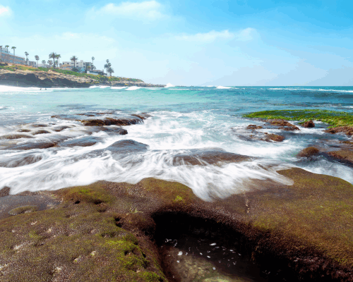 tide pools