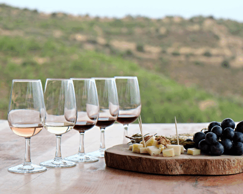 wine tasting