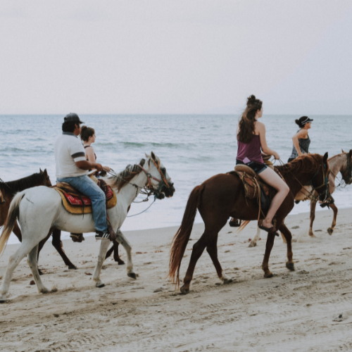 Horse Beach