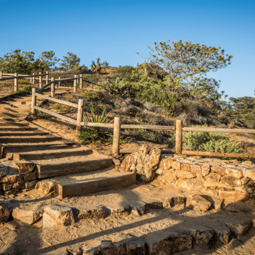 Torrey Pines