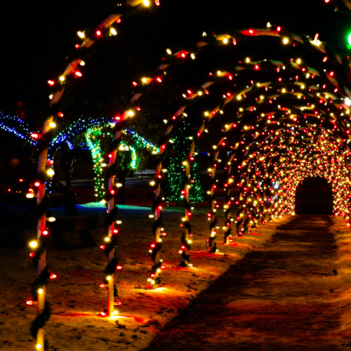 Botanical Gardens