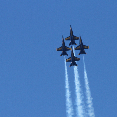 Fleet Week