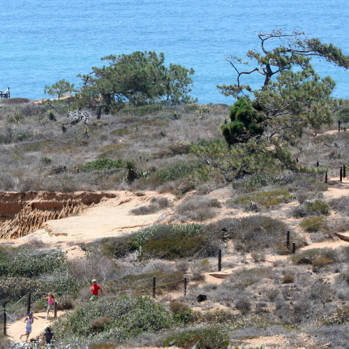 Hike San Diego