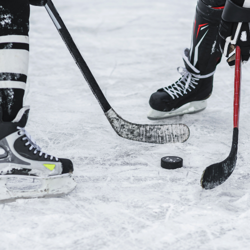 San Diego Gulls
