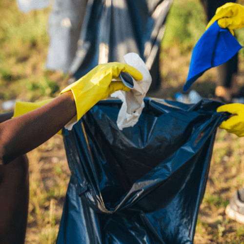 Creek Clean Up