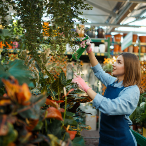 Day At The Nursery
