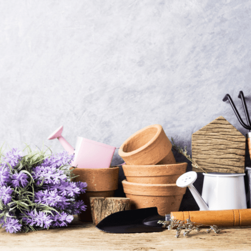 Home & Garden Show
