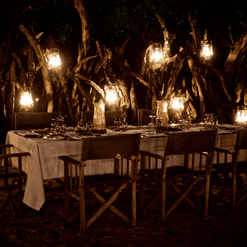 Safari Dinner