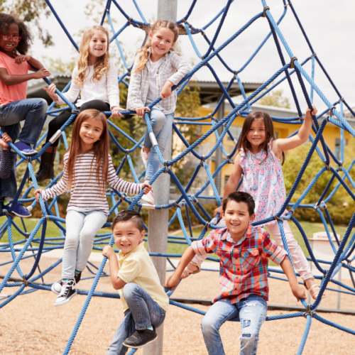 Rope Playground