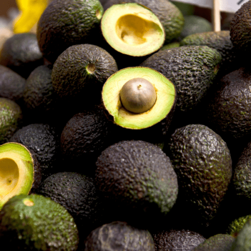 Avocado Festival
