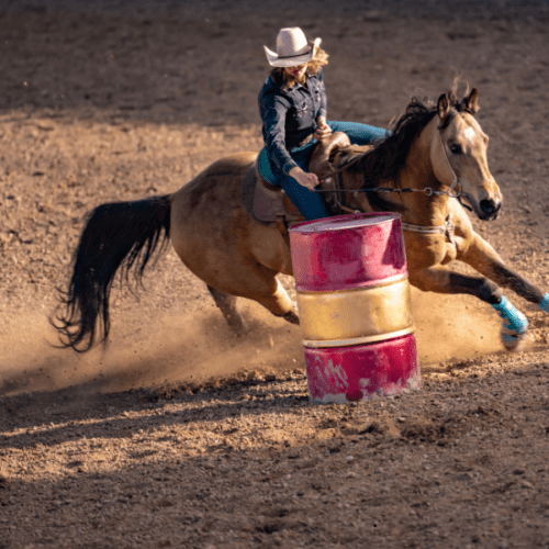 Rodeo