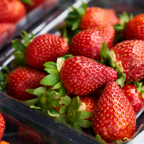 Strawberry Festival